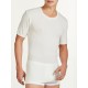 Ragno short sleeve Tshirt 100% Wool