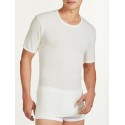 Ragno short sleeve Tshirt 100% Wool